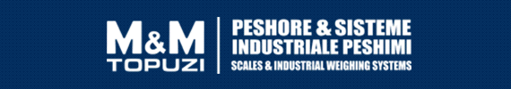 Sisteme peshimi industriale