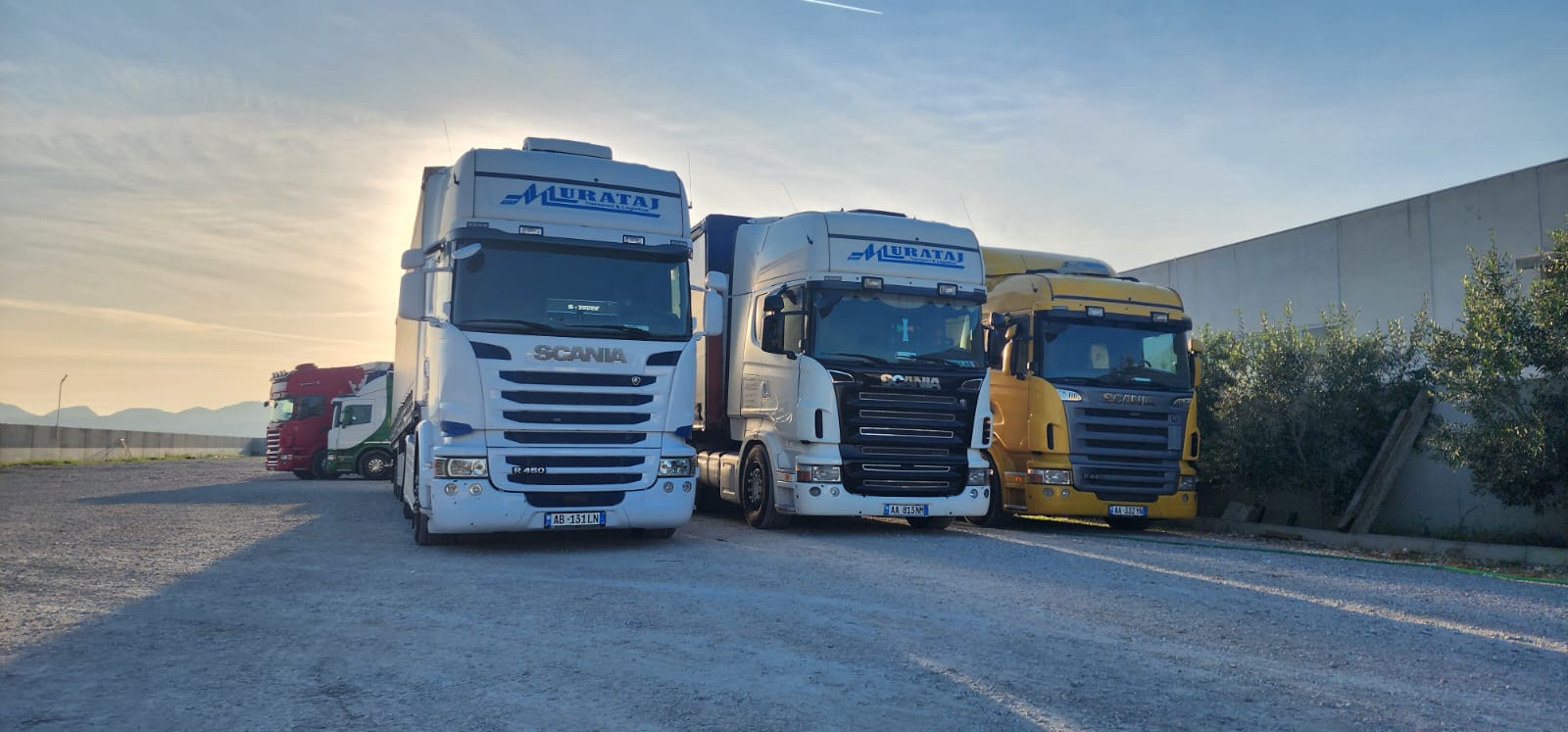 Kompani Transporti FTL dhe FCL