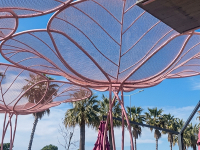 Struktura hekuri dekorative per lokalin, Vlore Struktura hekuri dekorative per lokalin, Vlore