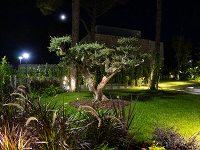 Vila Lalz, San Pietro Vila Lalz, San Pietro
