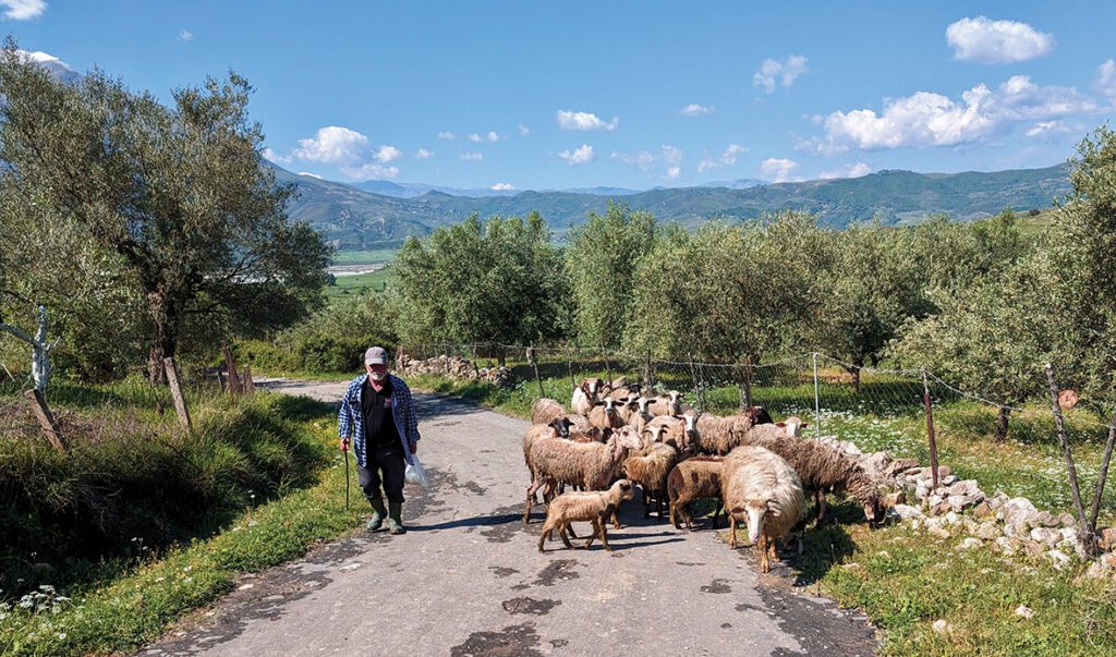 Blegtorët i drejtohet qeverisë me 7 kërkesa, nga heqja e akcizës te nafta te rialokimi i fondeve