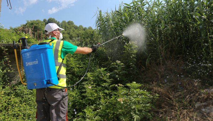 Masat per sezonin turistik, vijon procesi i dezinfektimit