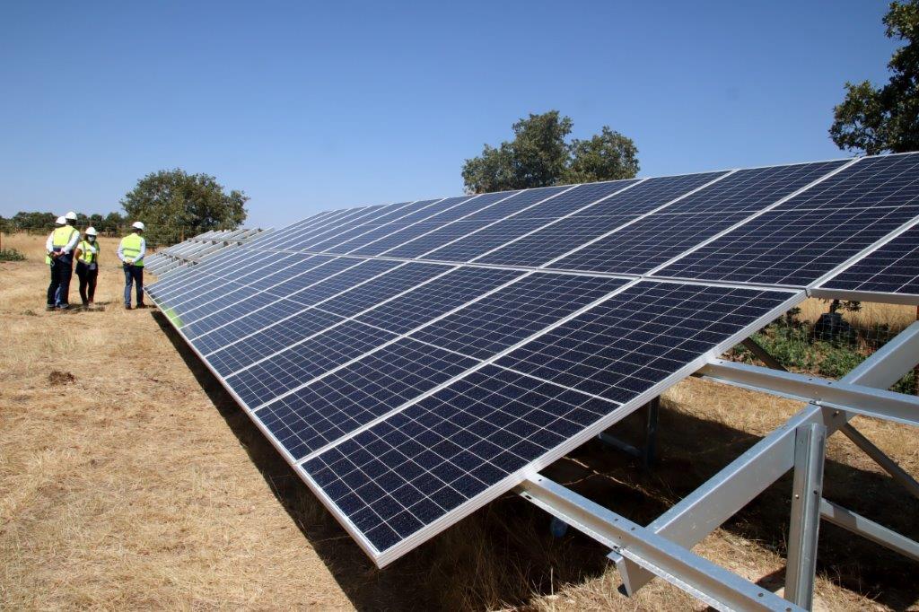 Fotovoltaikët mbulojnë 30 për qind të energjisë së konsumuar në qershor