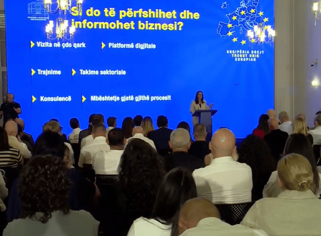 Ibrahimaj: Në tetor nis programi për përgatitjen e 48 mijë bizneseve për tregun e BE