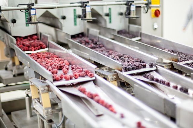 Industria përpunuese në recesion të zgjatur, hyn në vitin e katërt të rënies, bashkë me bujqësinë