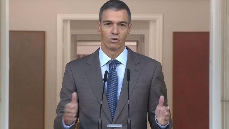 Kriza e strehimit, Sanchez jep dorëheqjen, Spanja në zgjedhje të parakohshme më 29 nëntor