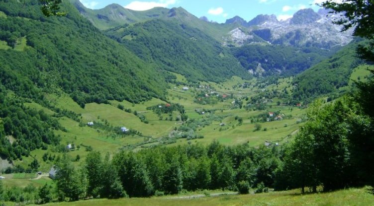 Eurostat: Shqiperia nder kater vendet europiane qe nuk rriti siperfaqen pyjore nga 1990-2020