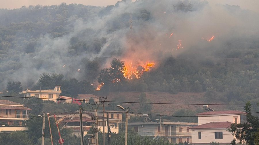 Zjarret përfshijnë Levanin dhe Himarën, qindra forca në terren për izolimin e flakëve