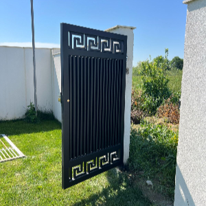 Porta kryesore hekuri me elemete dekorative Porta kryesore hekuri me elemete dekorative